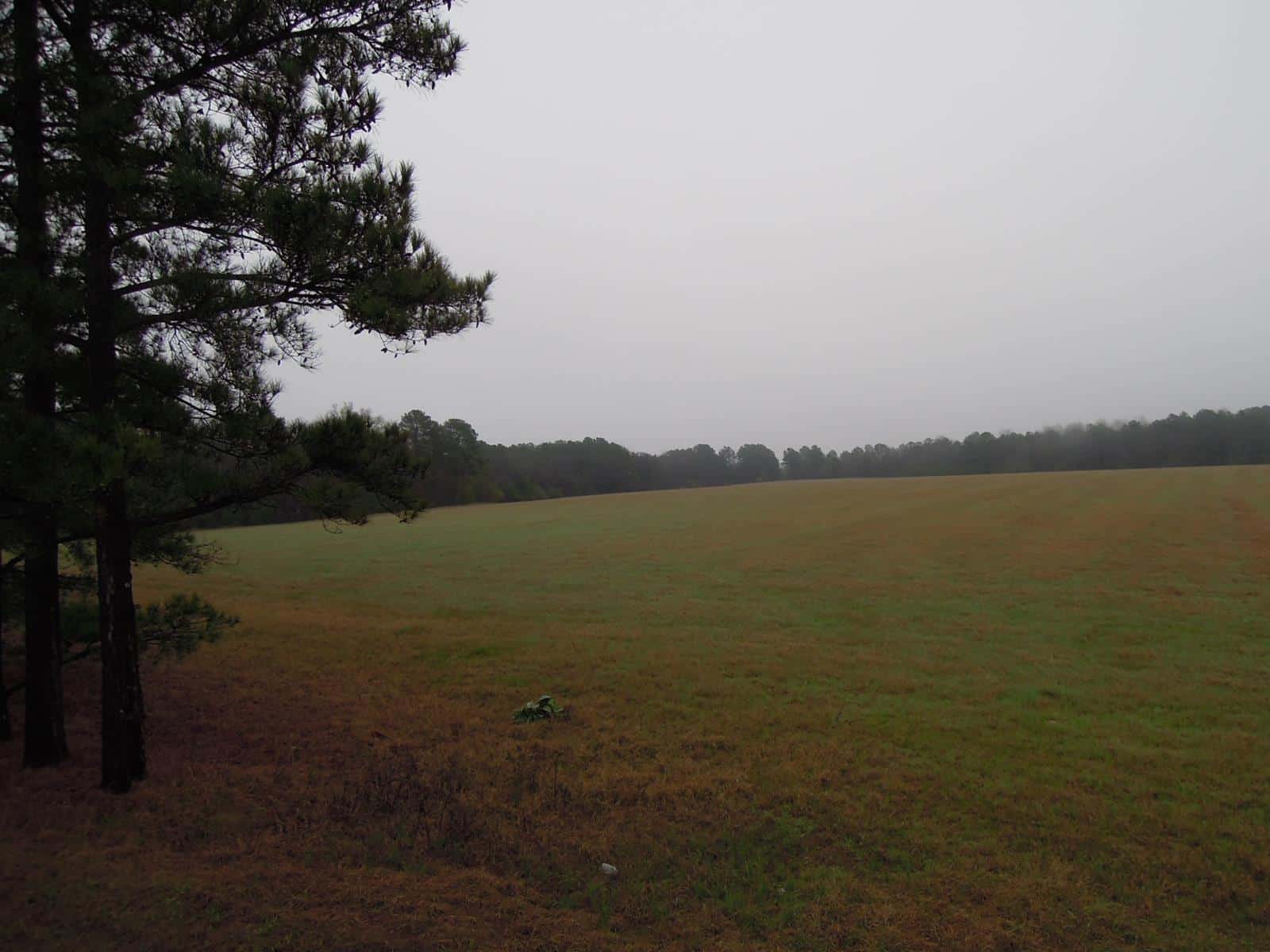 Reynolds Hunt