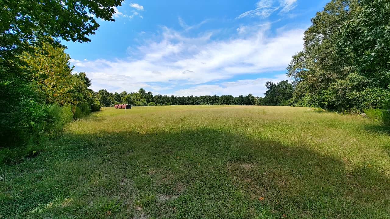 Kathy's Farm South