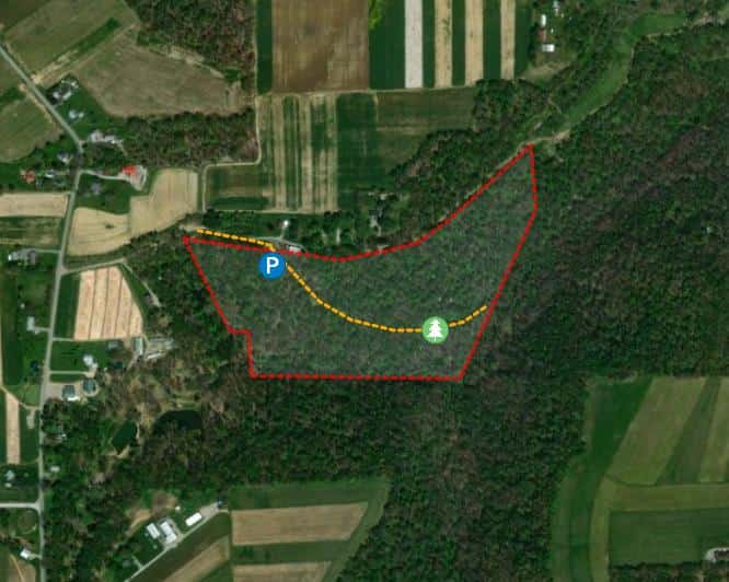 McKruit Farms South