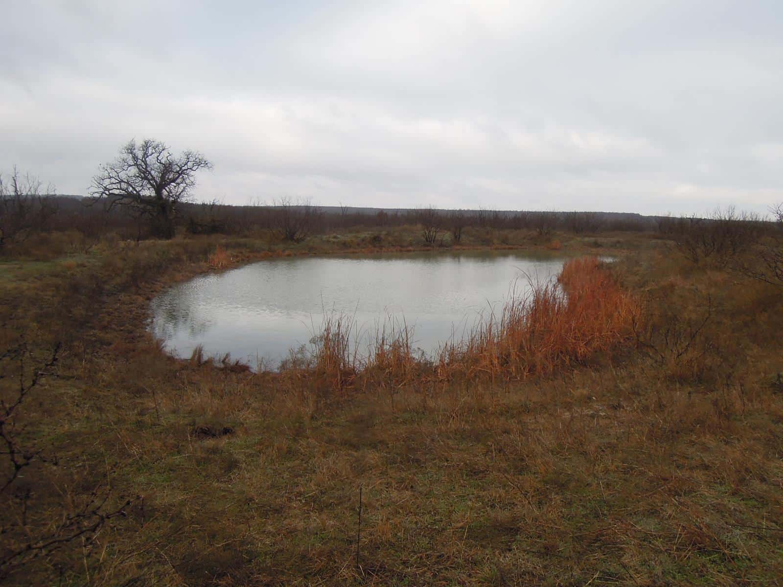 Rock Springs Hunting