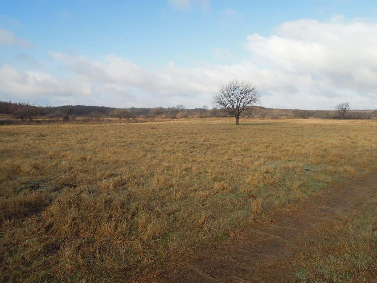 Rock Springs NE