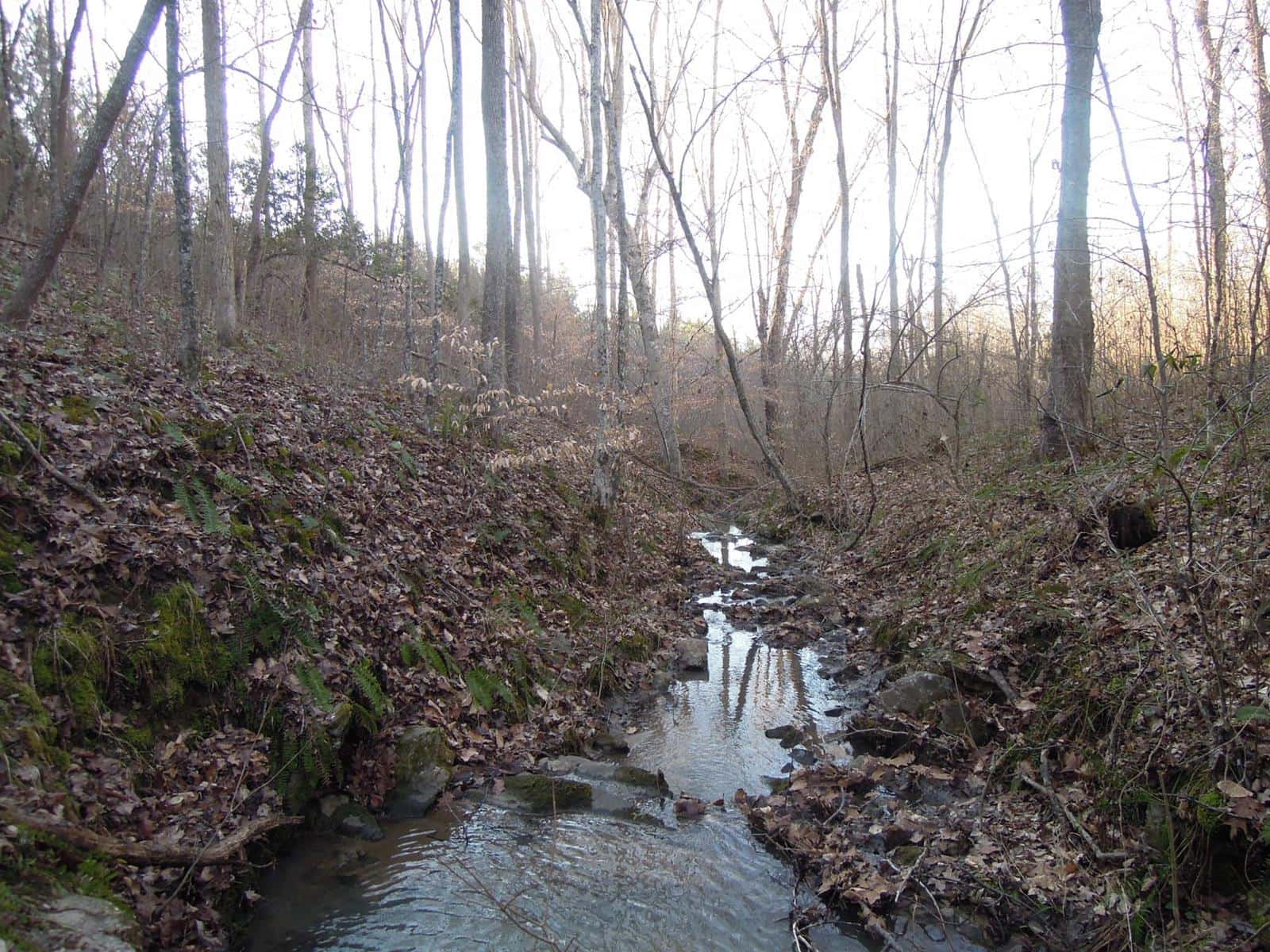 Watlington Farm **