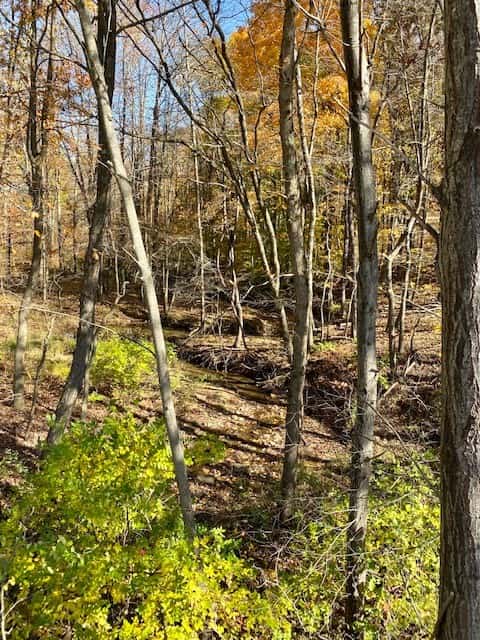 Slaughterbeck Acres
