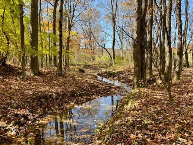 Slaughterbeck Acres