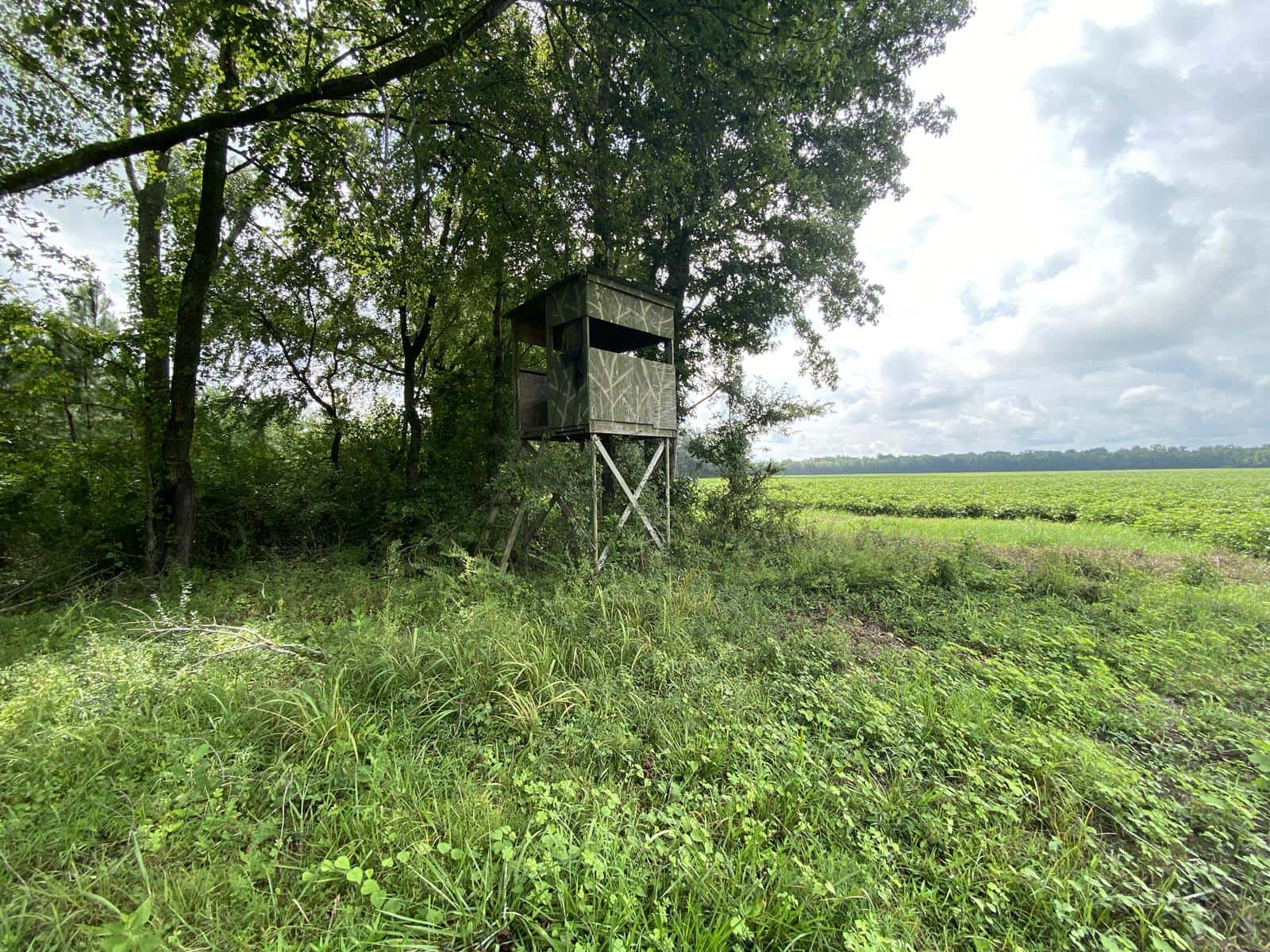 Bucklesberry Hunt