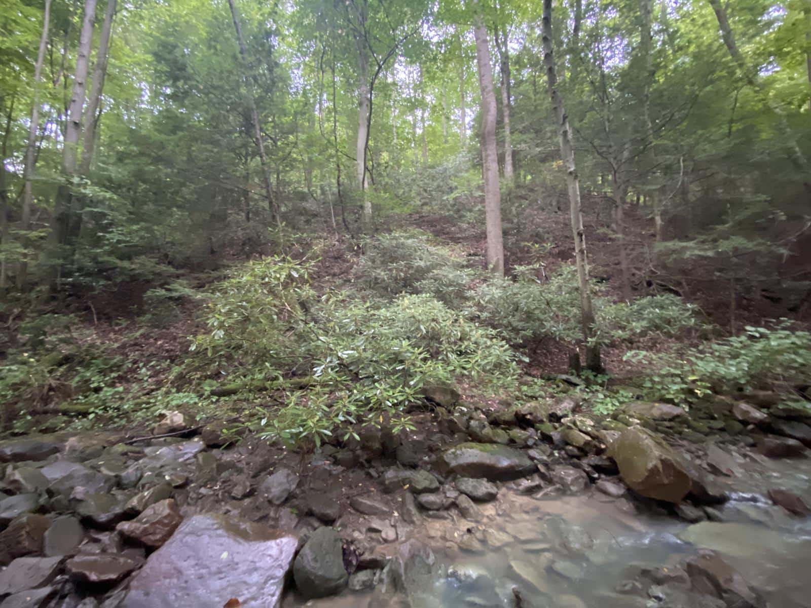 Potomac Highlands 135W