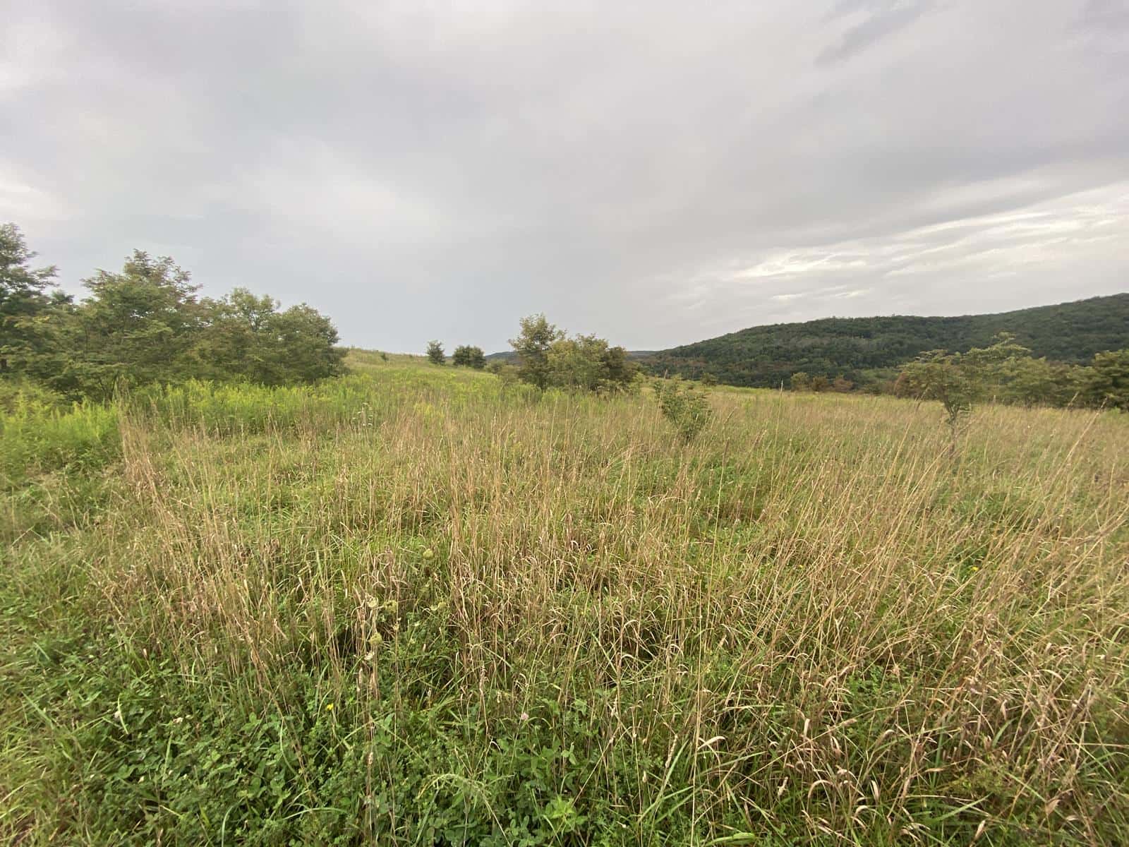 Potomac Highlands 282W