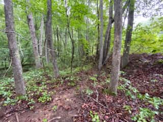 Ford Creek 17