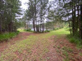 Ford Creek 41