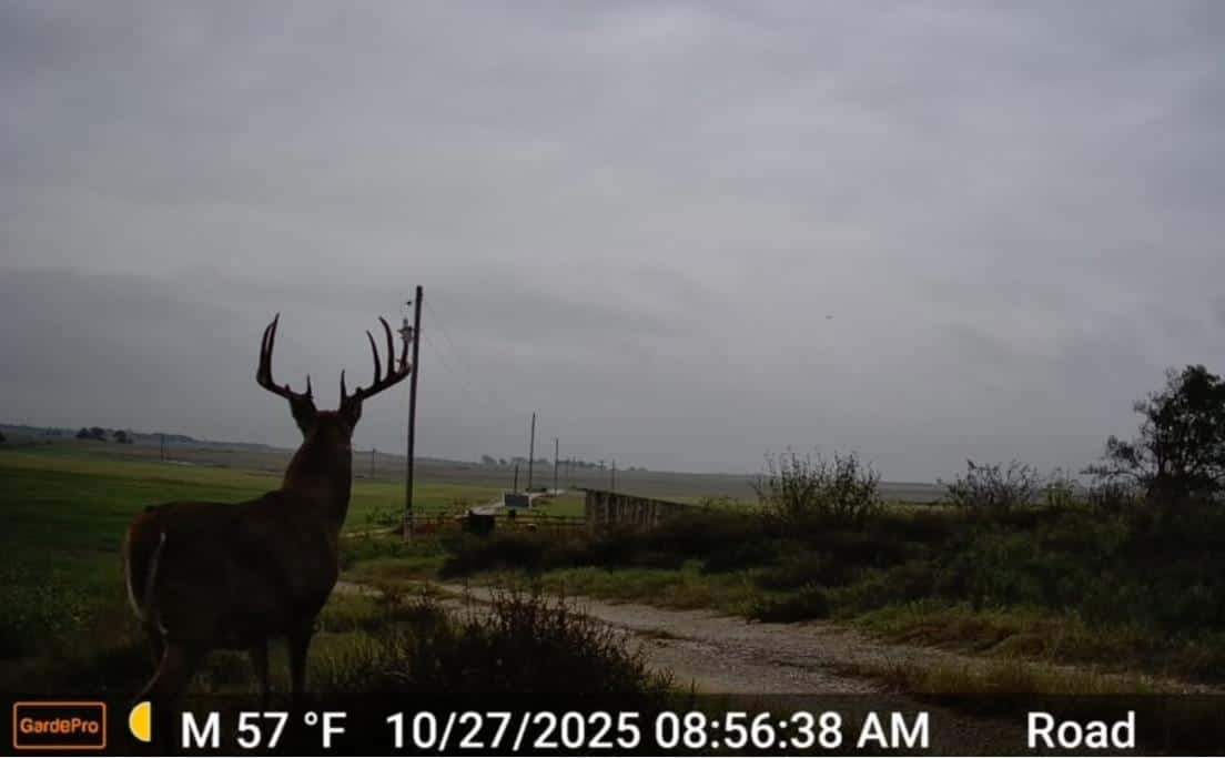 Hursh Ranch 160 Ok