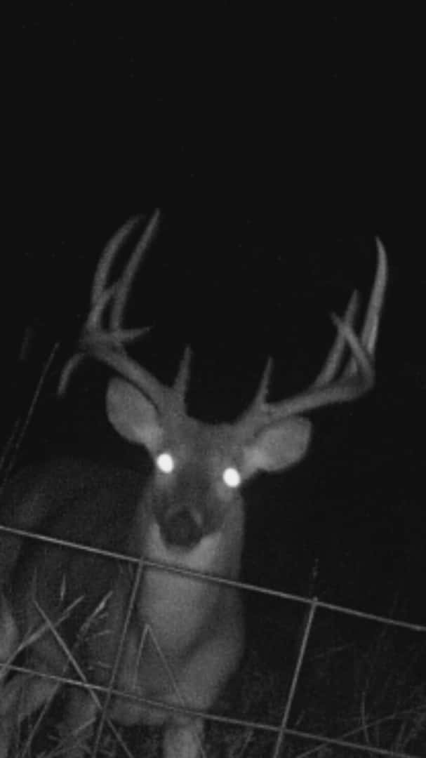 Rush Creek Deer Hunts