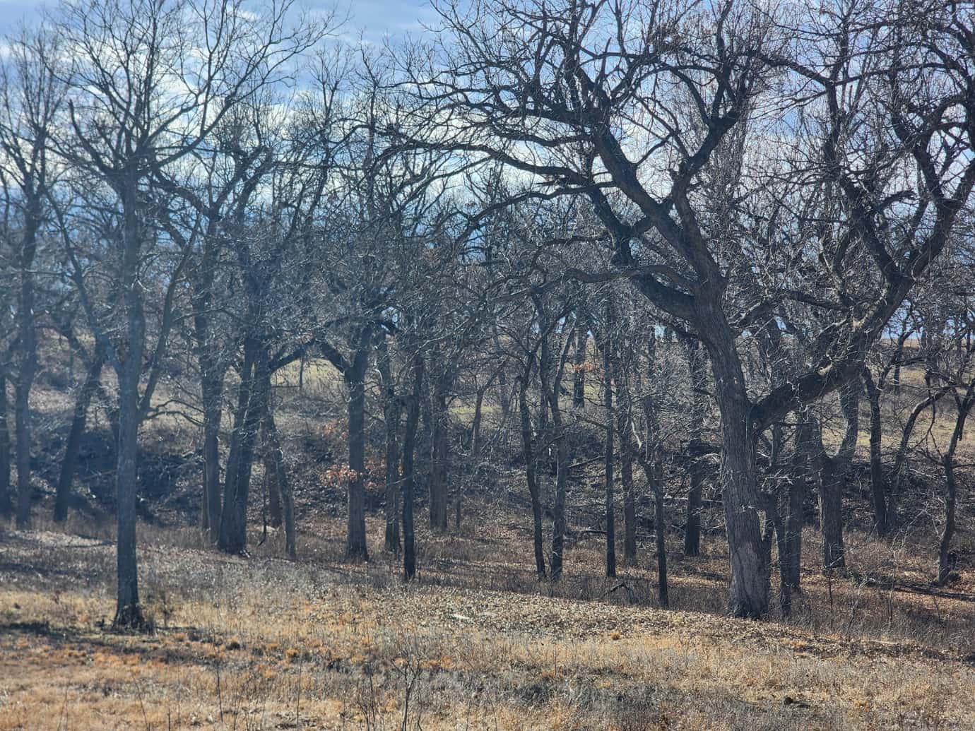 Gunsmoke Ranch 160