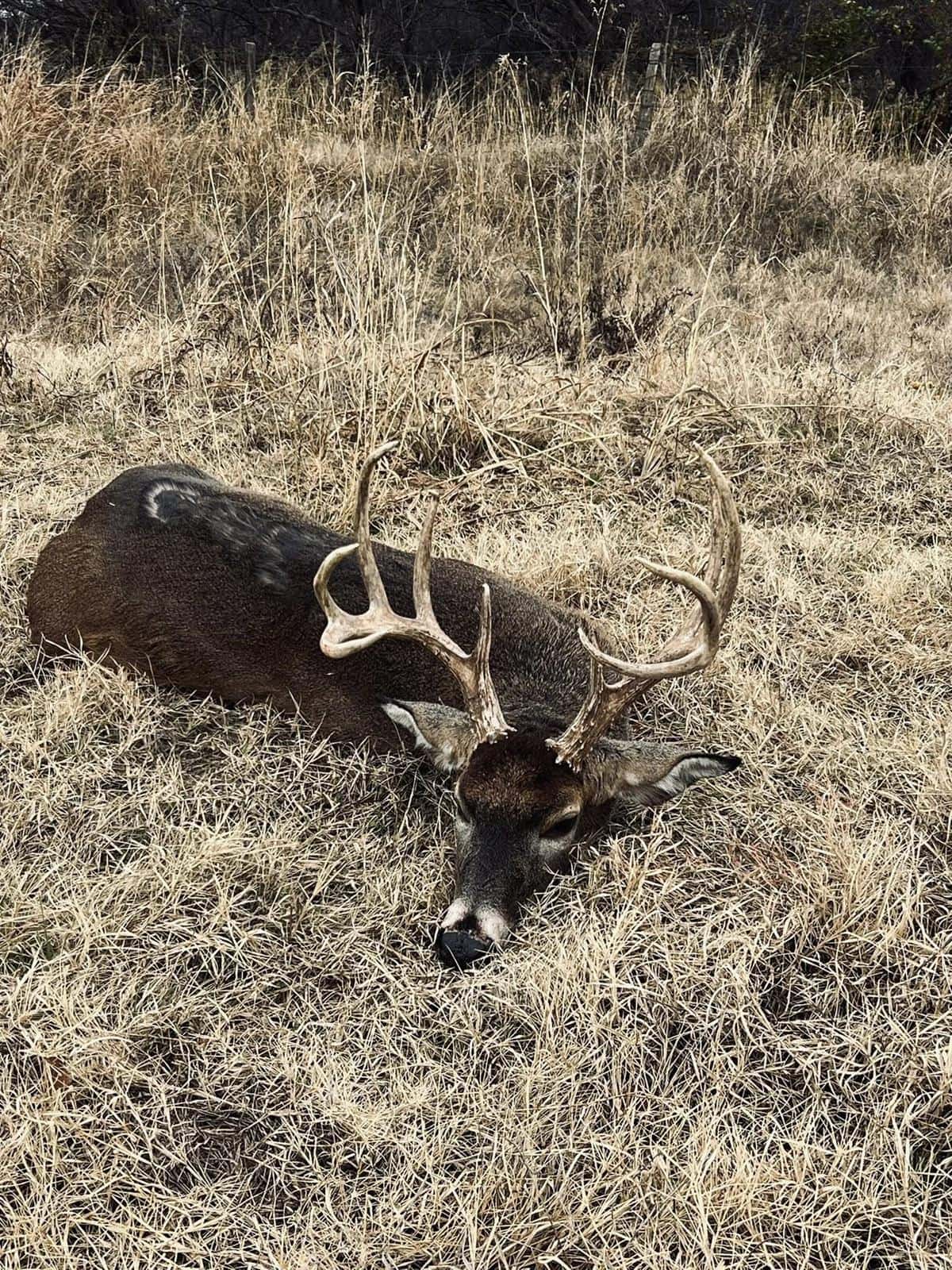Cedar Knoll Hunting
