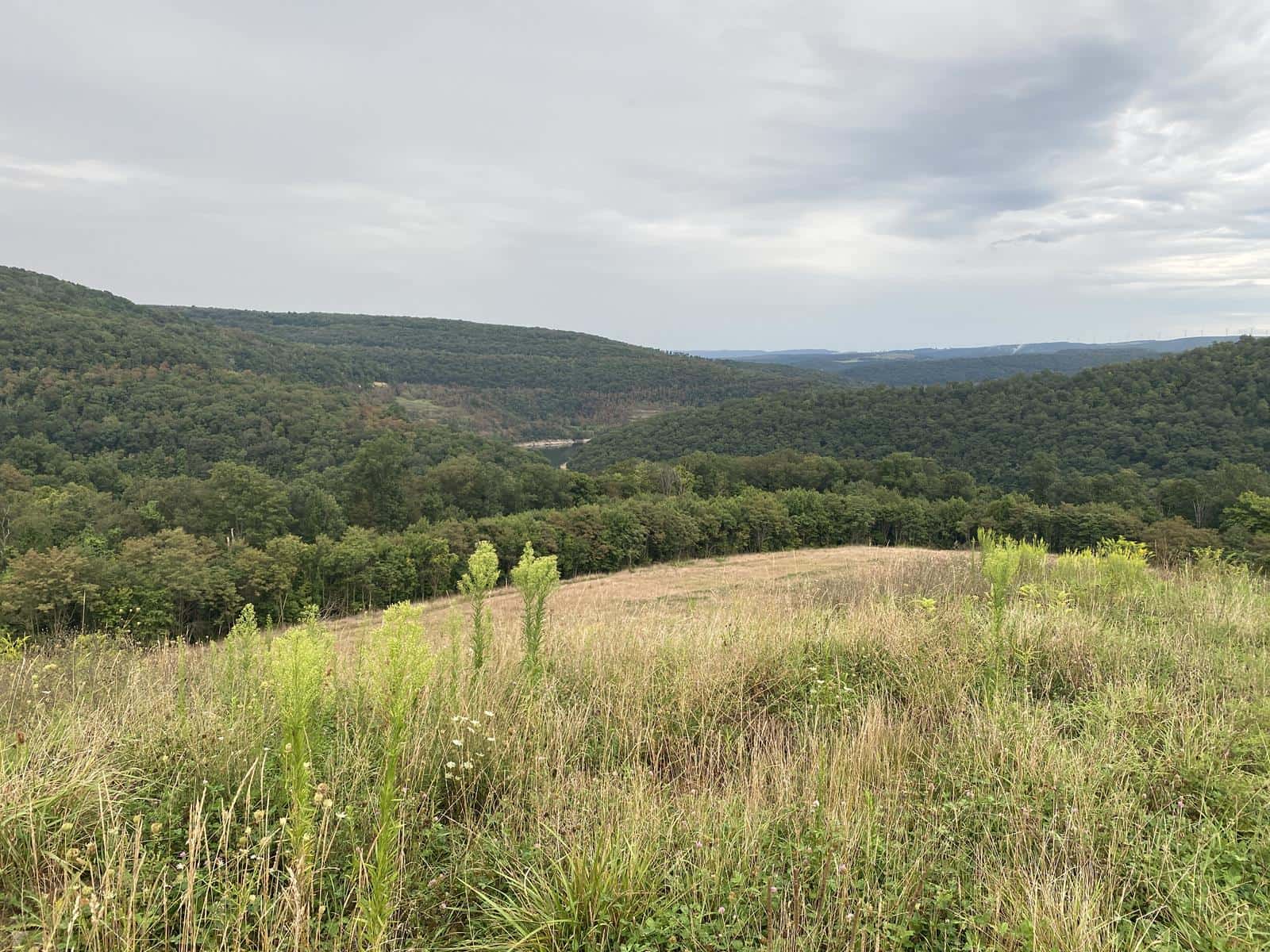 Potomac Highlands 551W #2
