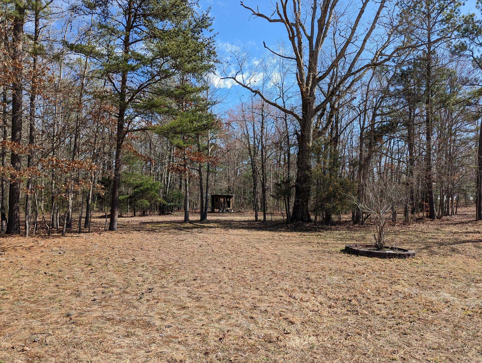 Adenauer Acres