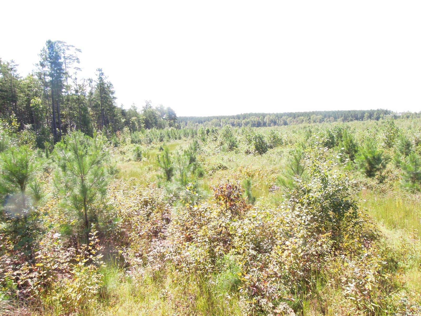 TKR Outdoor Adventures