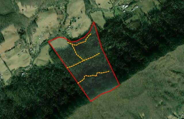 Fannon Mountain