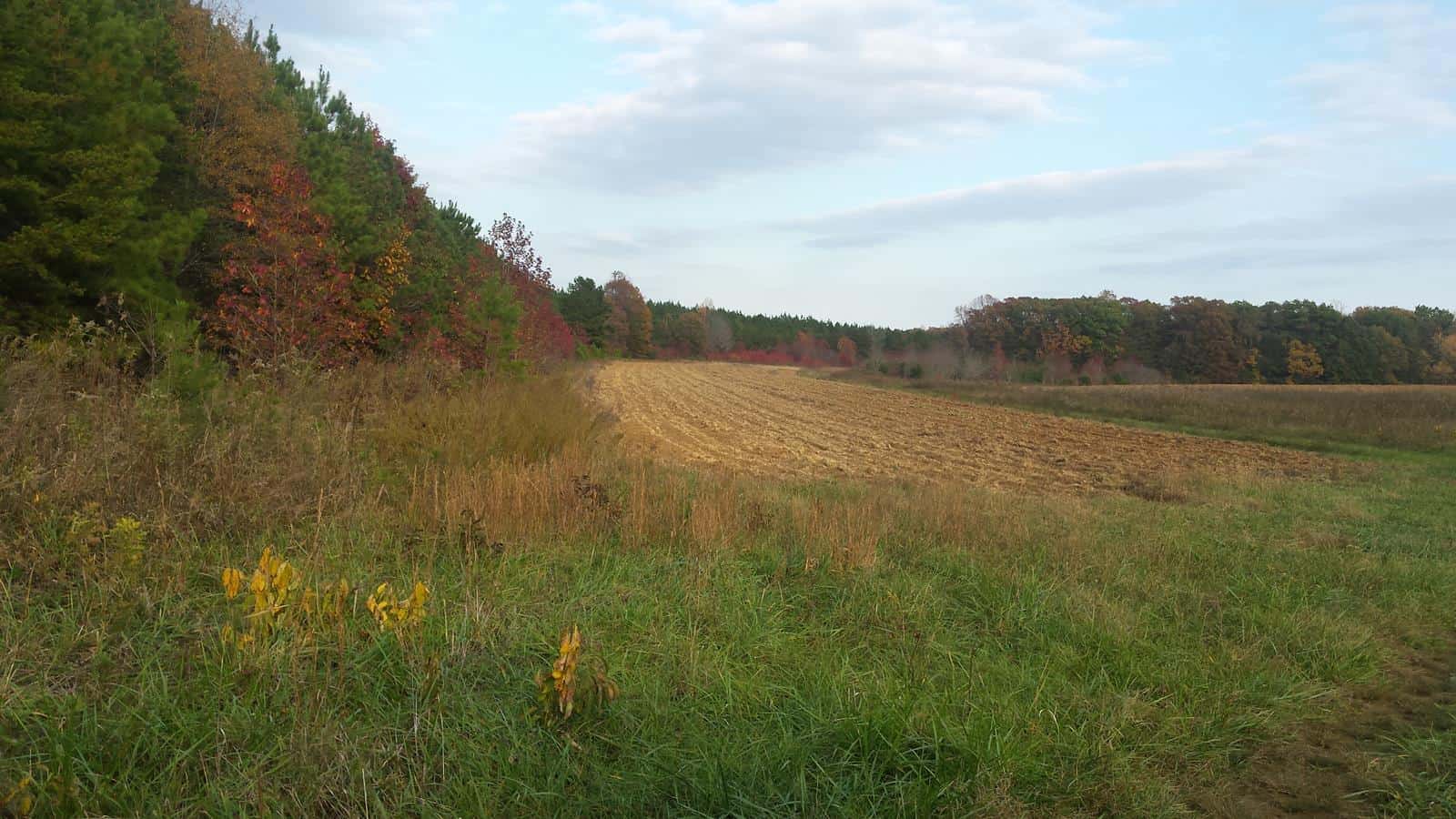 Old Mill Road Farm