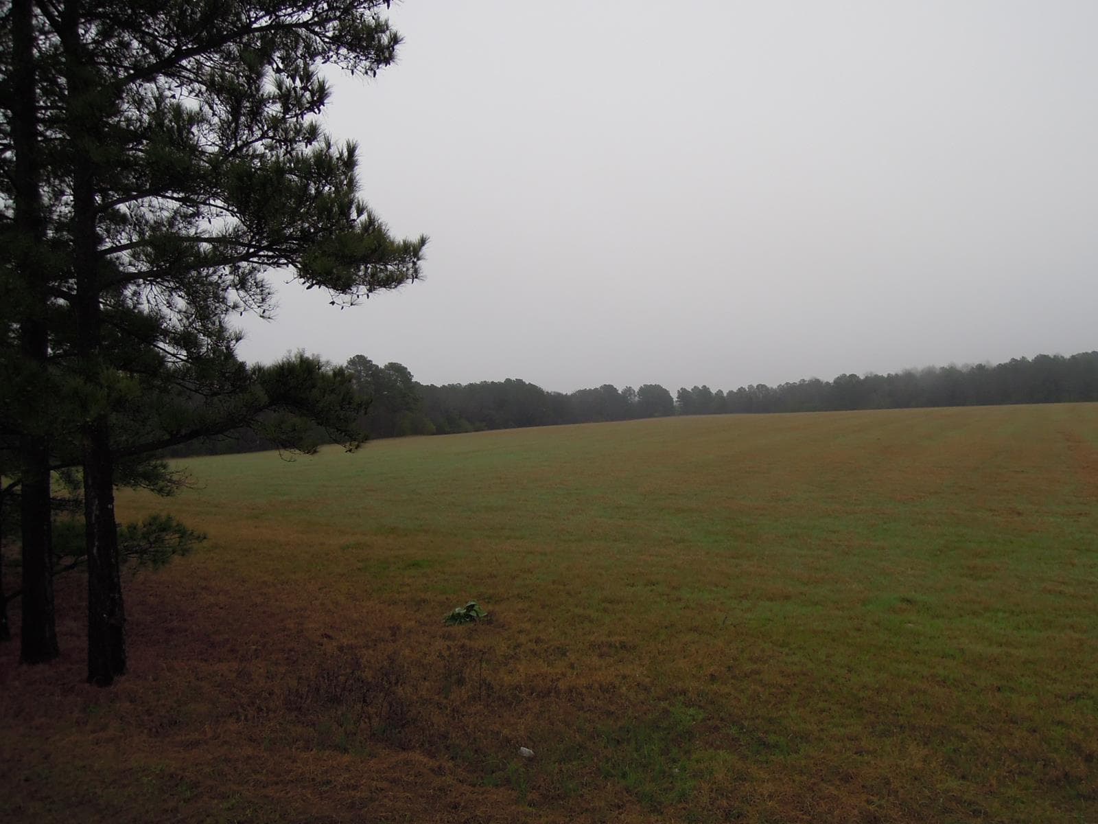 Reynolds Hunt - Photo 1