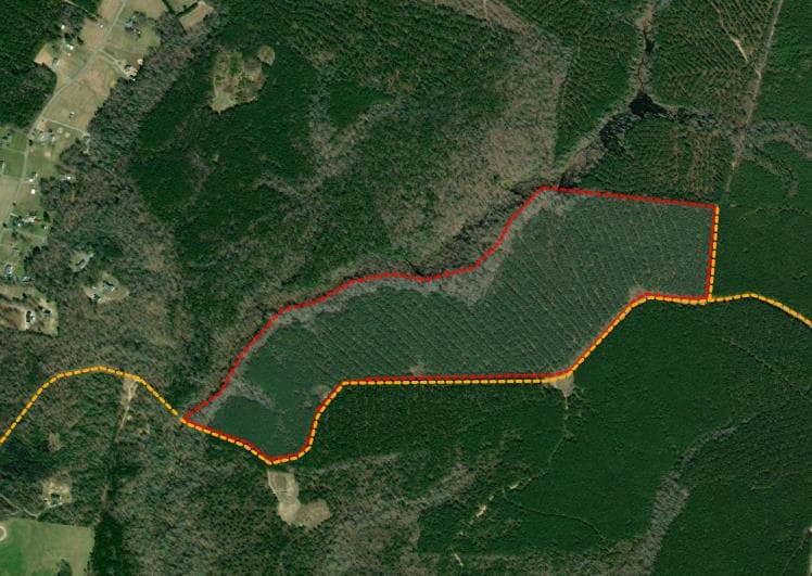Sycamore Grove 116 - Photo 1