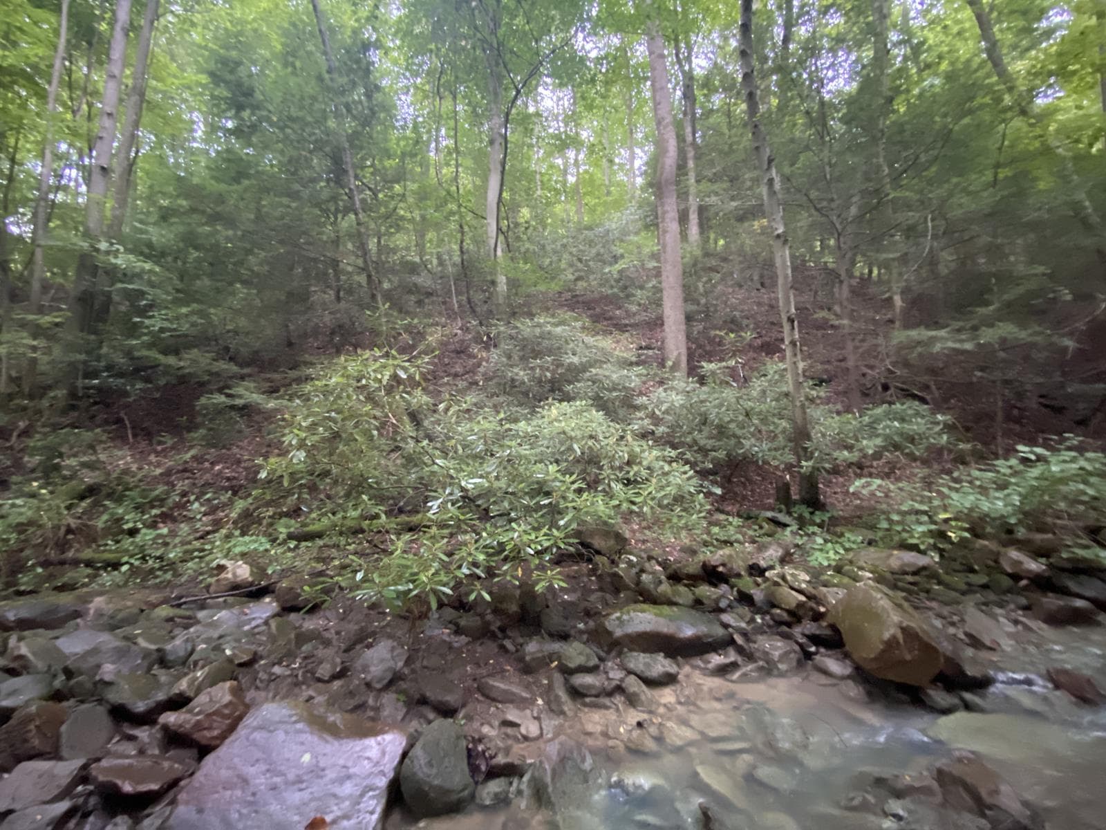 Potomac Highlands 135W  - Photo 1