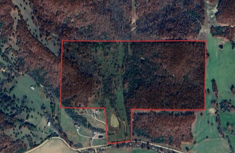 85 Acre Webster County Hunting Haven - Photo 1