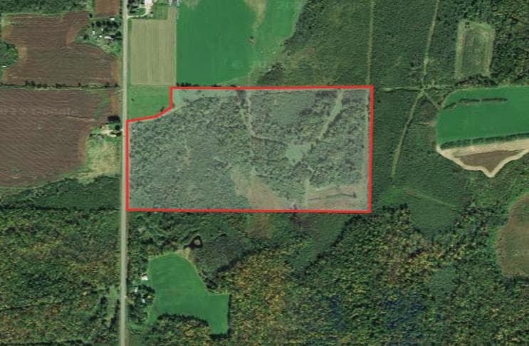 75 Acre Rusk County Hunting Lease  - Photo 1