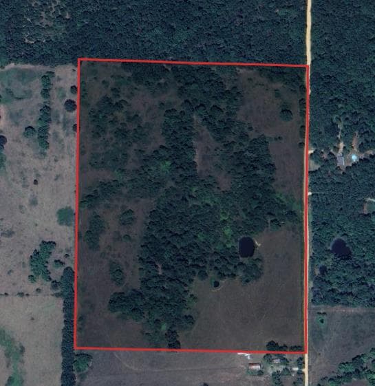 48 Acre Howell County Hunting  - Photo 1