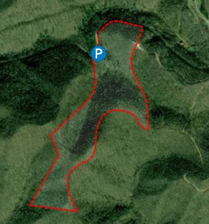 65 Acre Perry County Hunting Lease - Photo 1