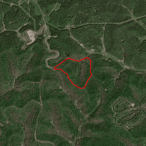 Quaker Fork Hunting - Photo 1