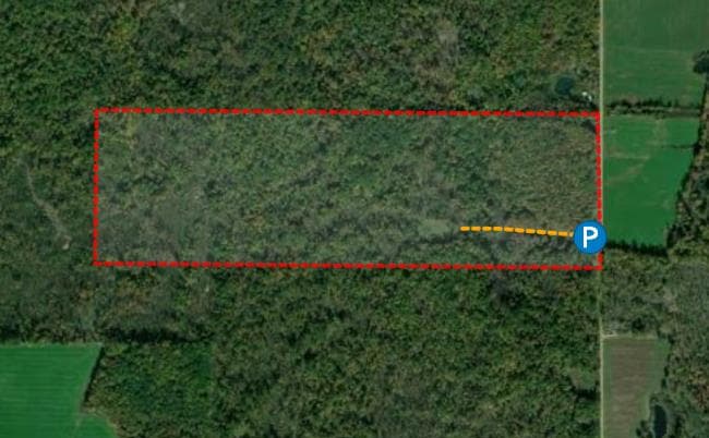115 Acre Crawford County Hunting Escape - Photo 1