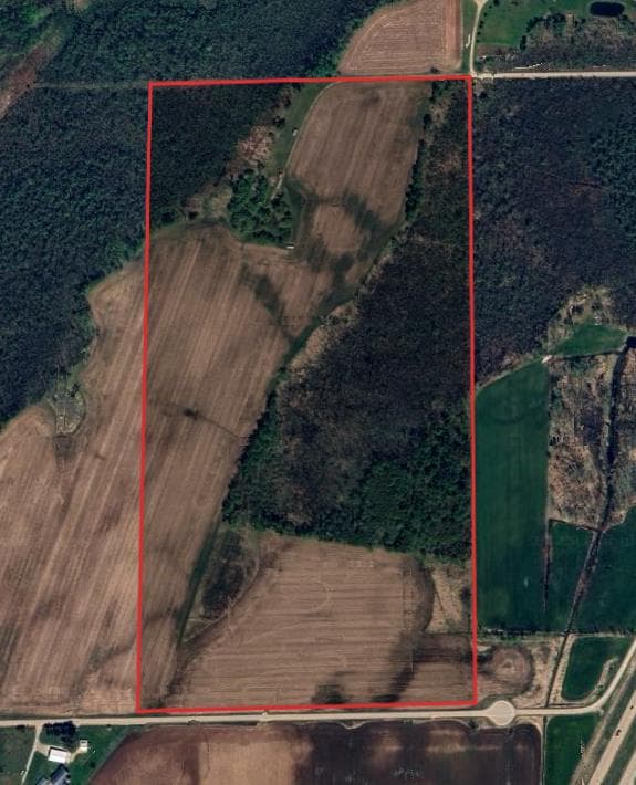 79 Acre Marinette County Hunting Lease - Photo 1