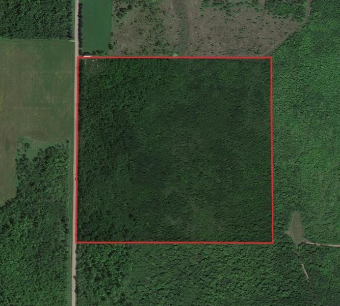 40 Acre Taylor County WI Hunting Lease - Photo 1