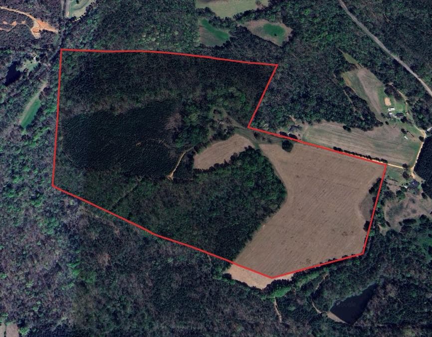 102 Acre Hale County Alabama Hunting Lease - Photo 1