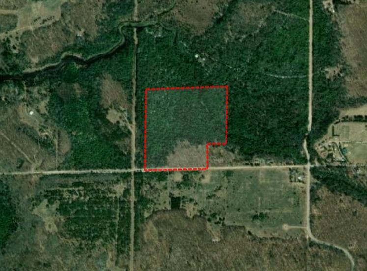 38 Acre Antrim County MI Hunting Lease - Photo 1