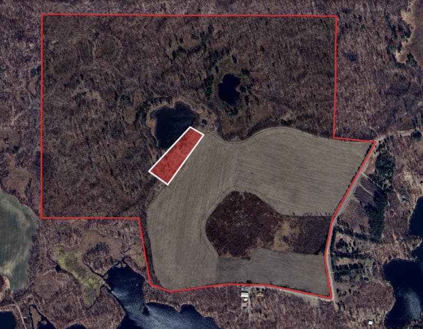 275 Acre Polk County Hunting Retreat - Photo 1