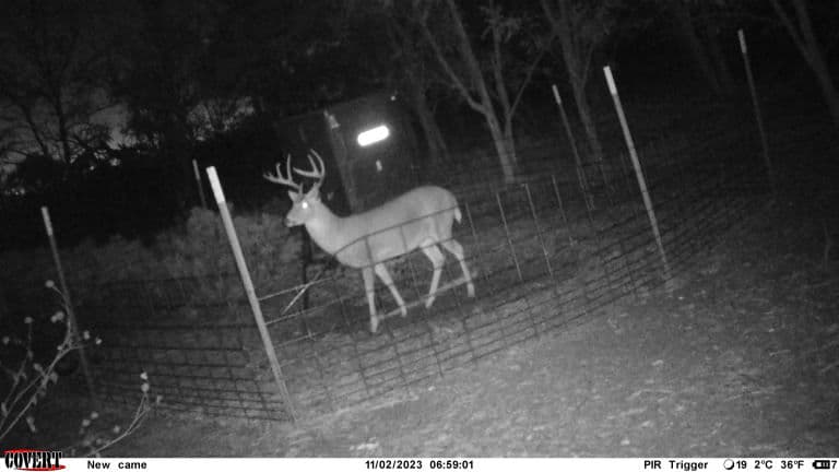 Greer County 480 - Photo 1