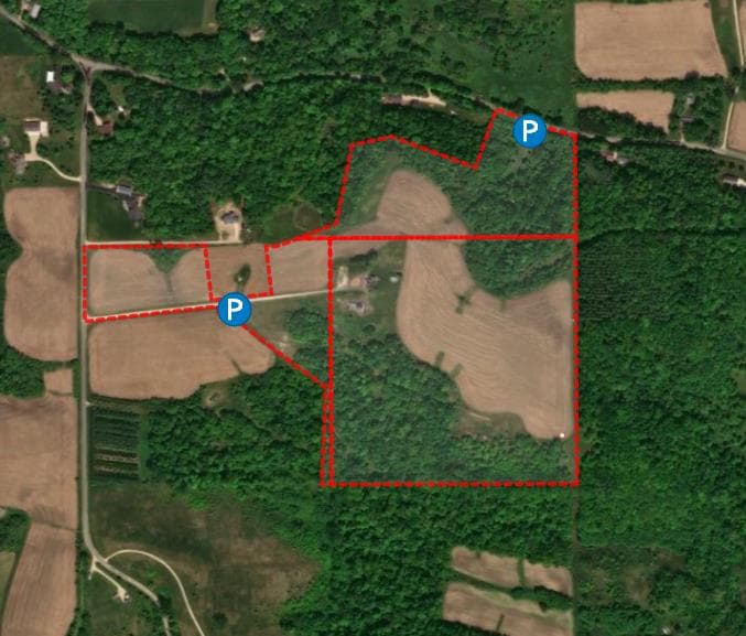 68 Acre Pierce County Whitetail Haven - Photo 1