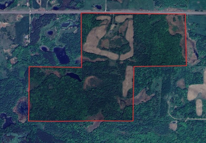 160 Acre Rusk County Whitetail Lease - Photo 1