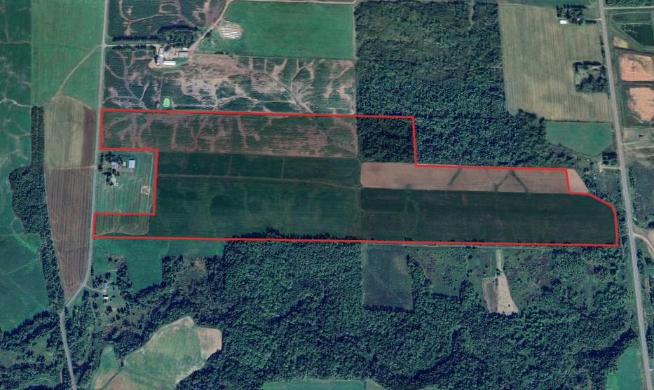 120 Acre Bayfield County Hunting - Photo 1