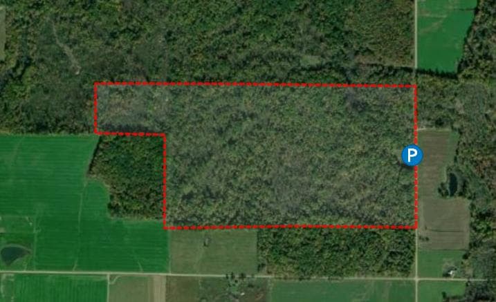 135 Acre Crawford County Hunting Escape - Photo 1
