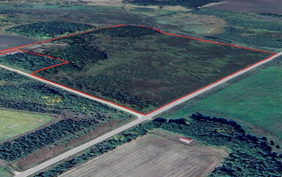 37 Acre Otter Tail County Hunting Lease - Photo 1