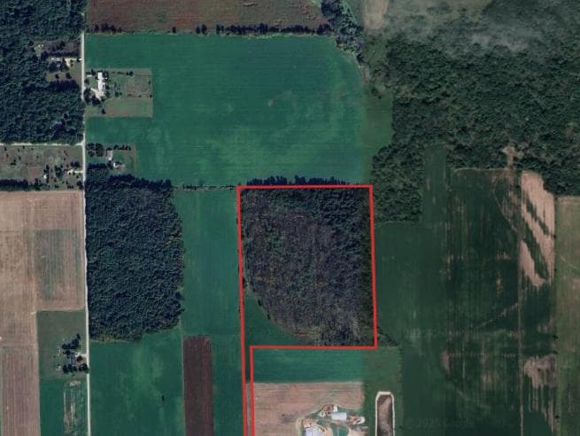 42 Acre Winnebago Archery Hunting Lease - Photo 1