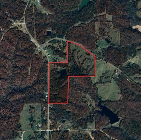 86 Acre Sullivan County Hunting Lease - Photo 1