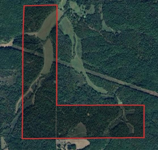 270 Acre Dent County Hunting Lease - Photo 1