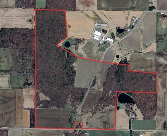 196 Acre Wood County Hunting Lease - Photo 1