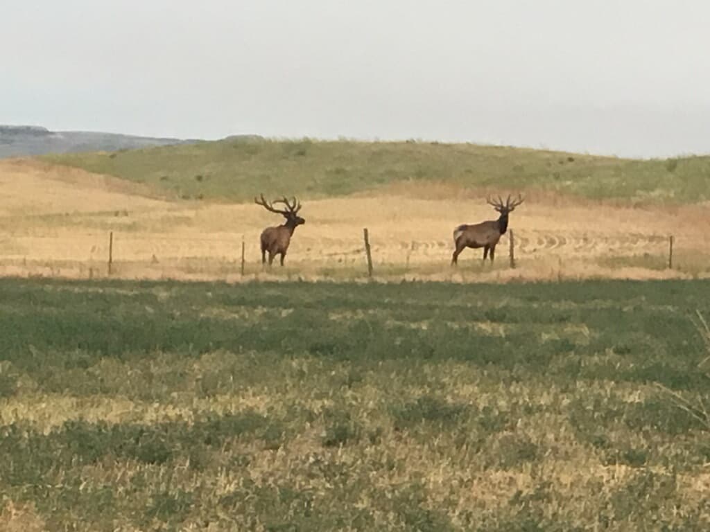 3,600 Acres in Garfield County, Mt - Hunt unit 700 - Photo 1