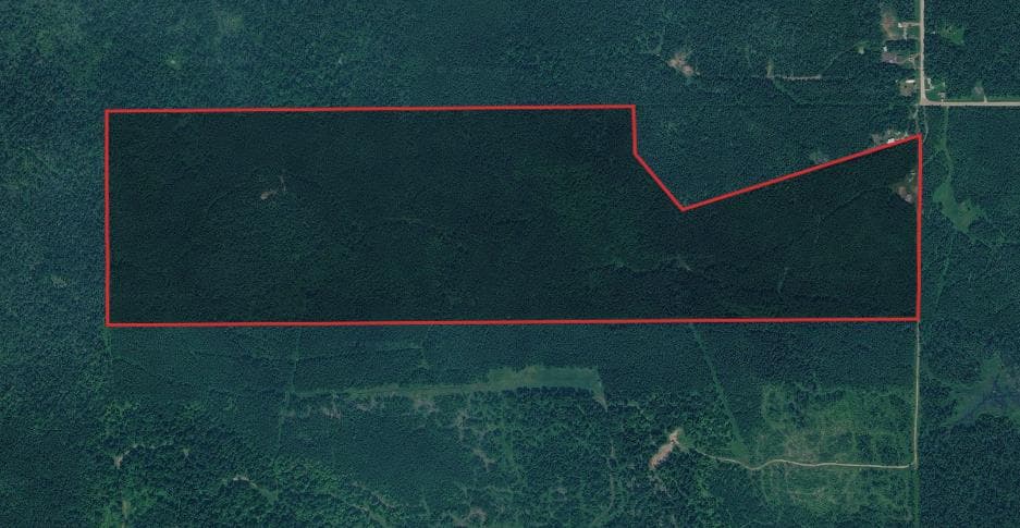 145 Acre Mackinac County Hunting Lease - Photo 1