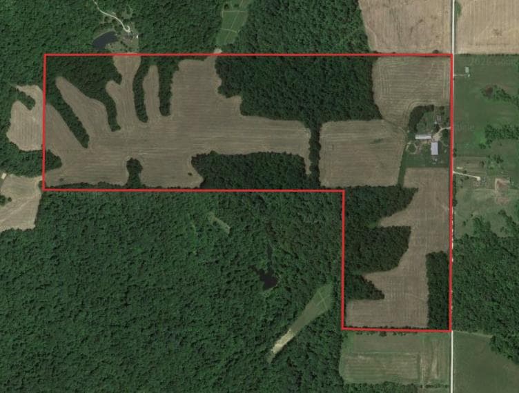 148 Acre Owen County Hunting Lease - Photo 1