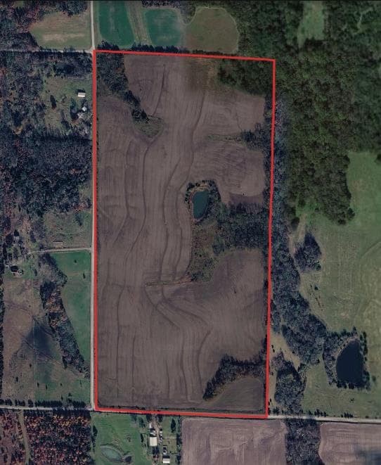 76 Acres Daviess County Hunting Lease - Photo 1